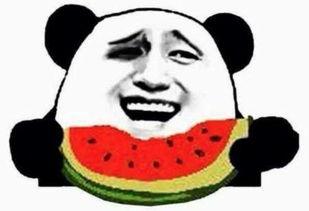 网红吃瓜群众免费吃瓜视频,揭秘热门视频幕后故事