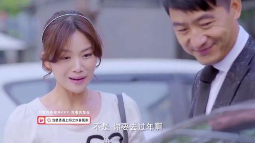 婆妈女婿在线观看,温馨家庭生活喜剧在线观看攻略  第3张